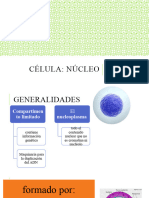 Célula Nucleo