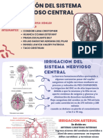 Diapositivas Grupo 3 I2 IRRIGACION DEL SISTEMA NERVIOSO CENTRAL