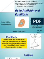 Órgano de La Audición y El Equilibrio