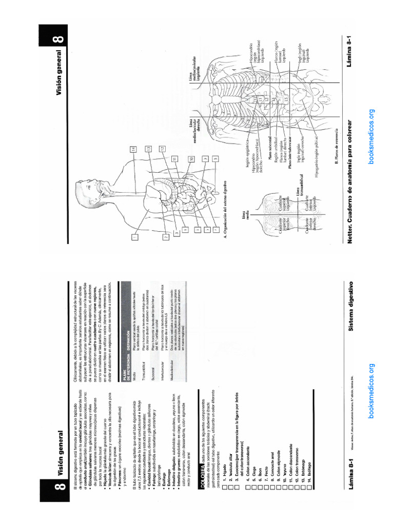 ANATOMIA PDF intelligence overview