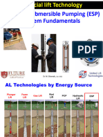 Electrical Submersible Pumping (ESP) System Fundamentals: Dr. M. Ghareeb