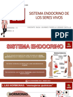 Semana 8 - A