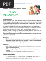 Secuencia Didáctica: Las Plantas 1° Grado | PDF | Tallo de la planta | Hoja