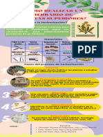 Proceso de Herborización de Plantas Superiores