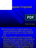 TEMA 16 - El Aparato Urogenital