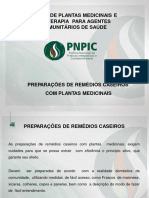 6-remedio_caseiros_com_plantas_medicinais_2.ppt (1)