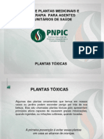 7-OK Plantas Toxicas