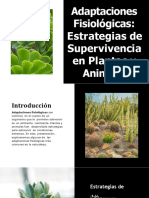 Adaptaciones Fisiológicas en Plantas y Animales, Arias Diego