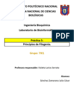 P5 - Principios de Filogenia - Sánchez Zamorano Julio César