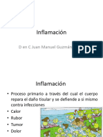 Inflamacion y Procesamiento de Ag