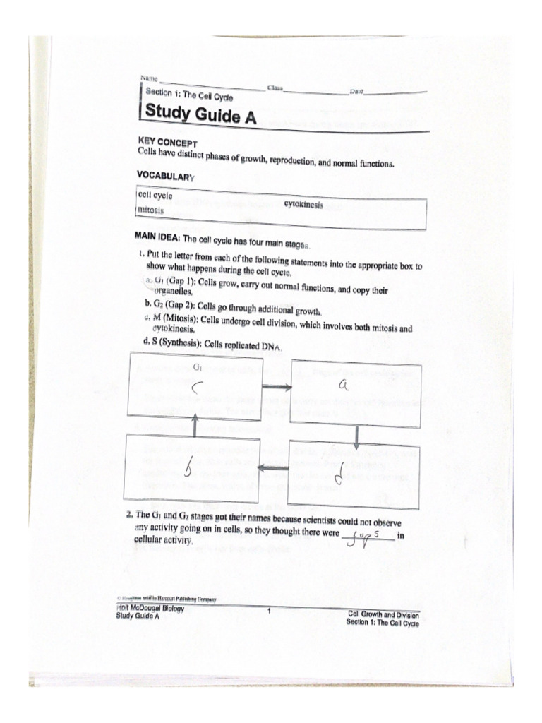 Study Guide A | PDF