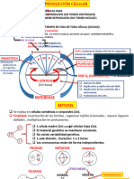 Reproducción Celular