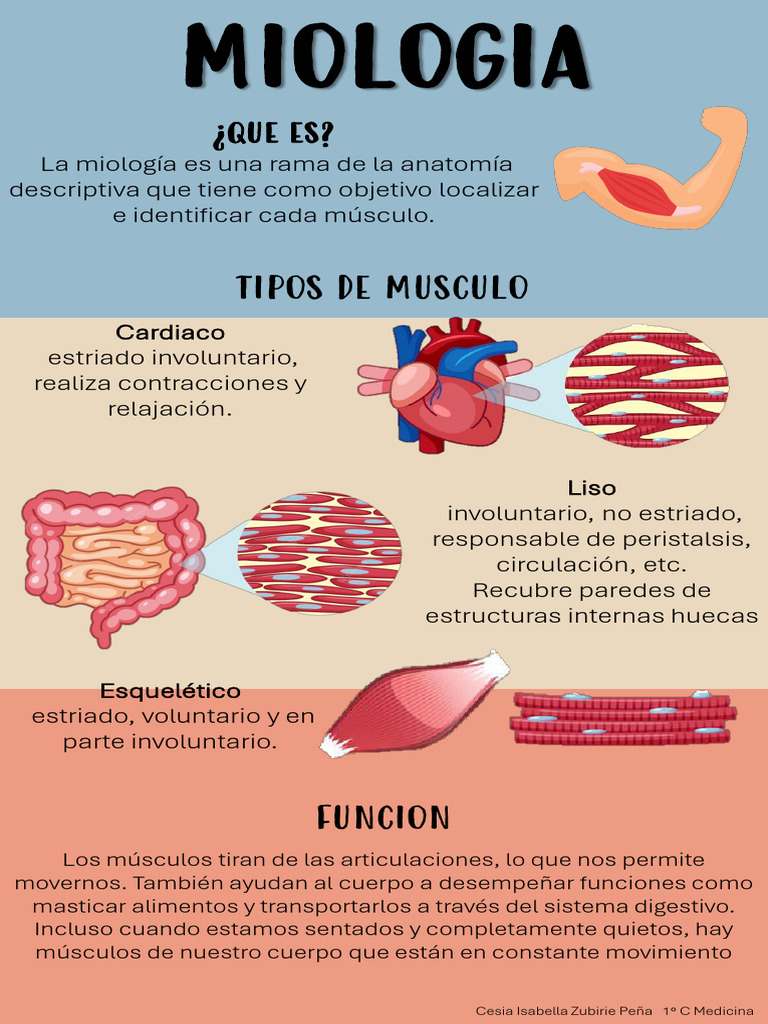MIOLOGIA | PDF | Relaciones personales, crianza y desarrollo personal