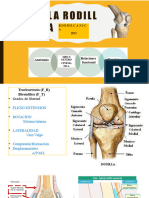 Rodilla 2023