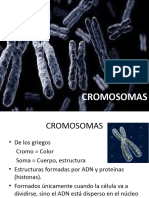 Ciclo Celular, Mitosis, Meiosis (1)