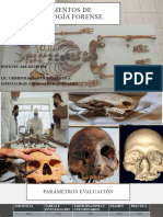 Fundamentos de Antropologã A Forense, Completo, Baja ResoluciÃ N, Ajustado  PDF, PDF, Antropología