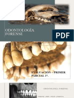 Odontología Forense Evaluacion Primer Parcial (Autoguardado)