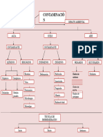 Mapa Conceptual de La Contaminacion 2