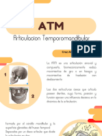 Articulacion Temporomandibular: Cruz Alcantara Alan Ricardo Grupo: 3406