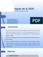 Tecnologías de la SNAI (2)