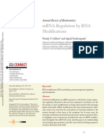 mRNA Regulation by RNA Modifications - Gilbert, W. V. Nachtergaele, S.