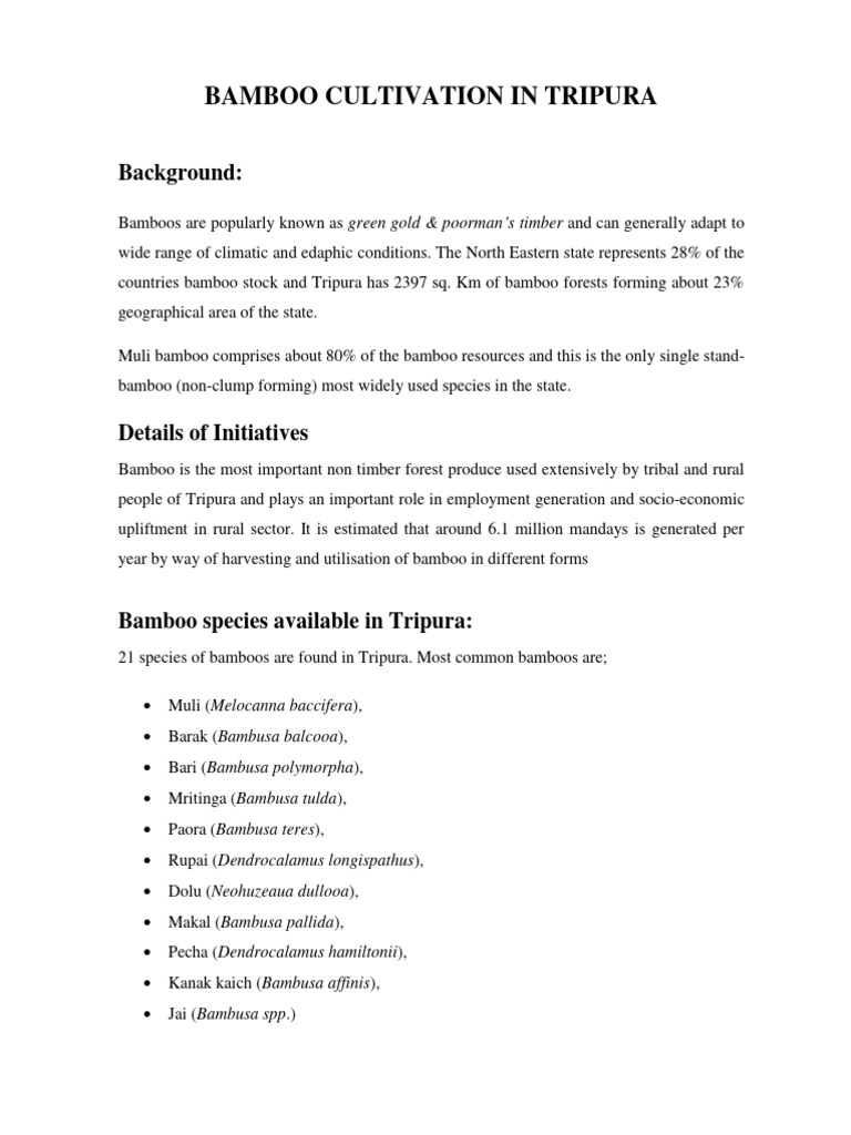 Bamboo Cultivation in Tripura | PDF | Bamboo | Plants