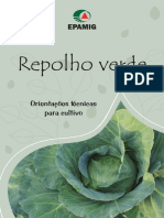 Repolho Verde