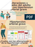 Alteraciones y Cuidados Hipertension Arterial G