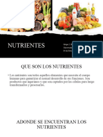 NUTRIENTES