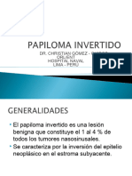 Papilomainvertido 140723112620 Phpapp01