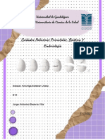 Bioetica y Cuidados Paleativos Prenatales