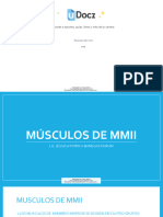 Musculos Del Mmii 586084 Downloadable 2594908