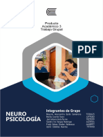 Pa3 Neuropsicología - Grupal
