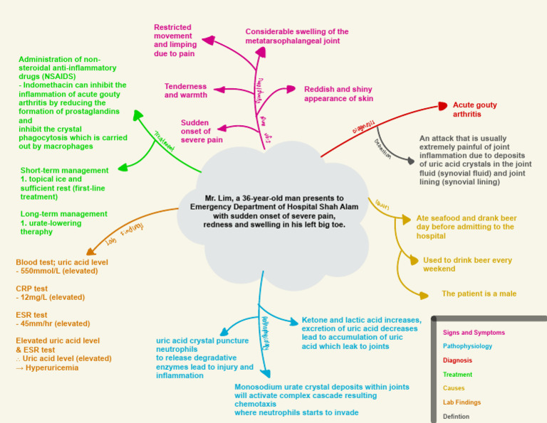 Gouty Arthritis Concept Map PDF Causes Of Death Diseases And