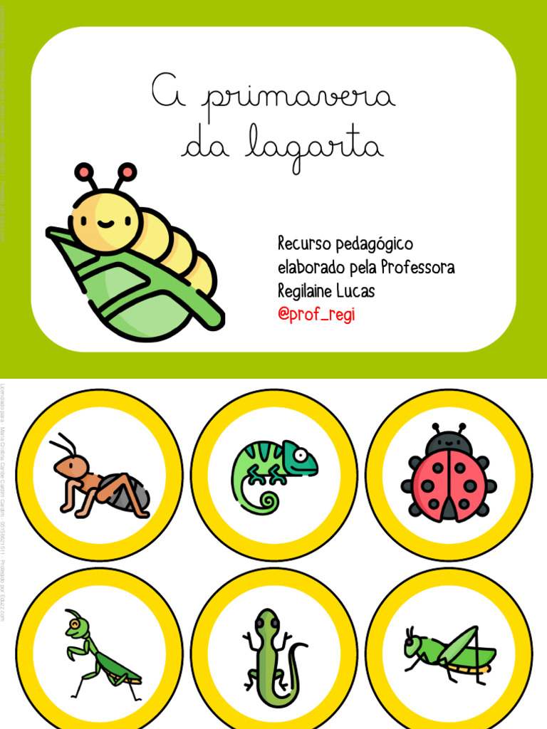Recurso Visual A Primavera Da Lagarta | PDF
