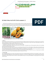 Kỹ thuật trồng cây đu đủ (Carica papaya L.) - Bình Điền - MeKong