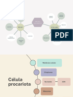 Gráfico Mapa Conceptual Esquema Círculos Ciencia Profesional Verde y Lila