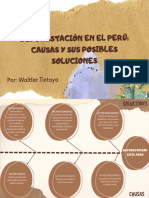 Deforestación en El Perú Causas y Sus Posibles Soluciones - Walter Tintaya.