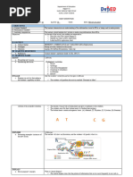 DNA Replication LP