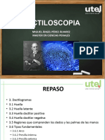 Dactiloscopia Open Class 4