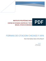 Formas de Citación Chicago y APA