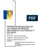 Depresión Masculina en La CDMX: Influencias Culturales y Sociales