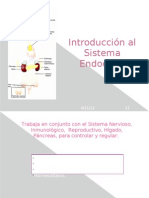 Introducción al Sistema Endocrino