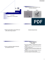 Aula 21 - 24 - Testes Projectivos