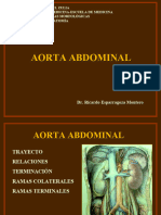 Abdomen (Aorta Abdominal)