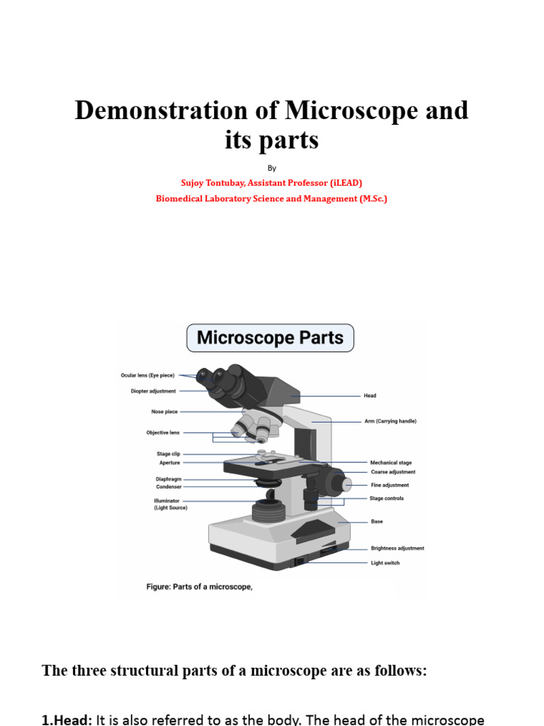 Microscope Parts and Their Functions | PDF | Optical Devices ...