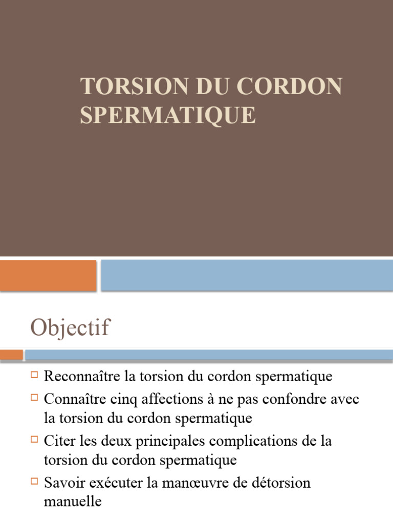Cordon Spermatique : Définition, Rôle, Schéma – DNVD