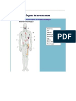 Órganos del sistema inmune