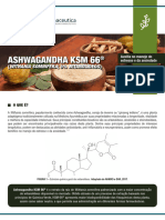 Ashwagandha KSM 66 - Web