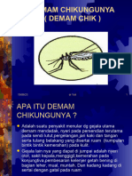 Chikungunya Fever
